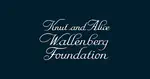 Funding from the Knut and Alice Wallenberg Foundation